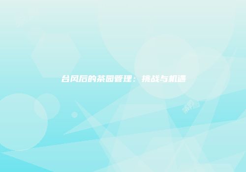 台风后的茶园管理：挑战与机遇