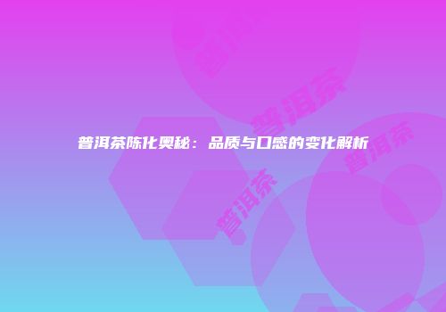 普洱茶陈化奥秘：品质与口感的变化解析