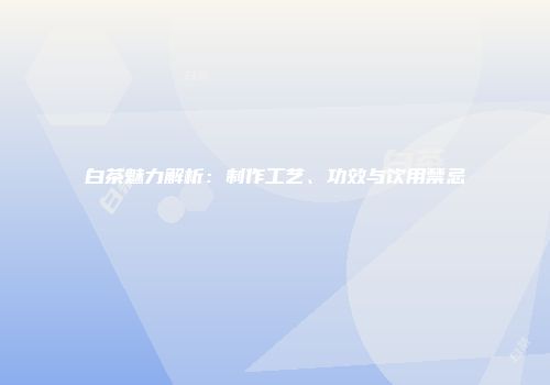 白茶魅力解析：制作工艺、功效与饮用禁忌