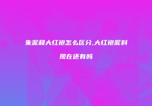朱泥和大红袍怎么区分,大红袍泥料现在还有吗