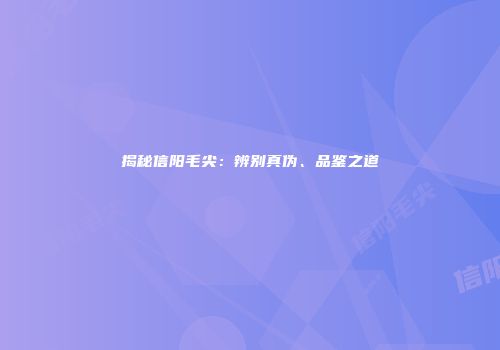 揭秘信阳毛尖：辨别真伪、品鉴之道