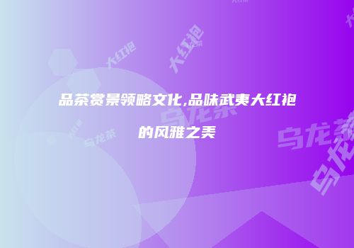 品茶赏景领略文化,品味武夷大红袍的风雅之美