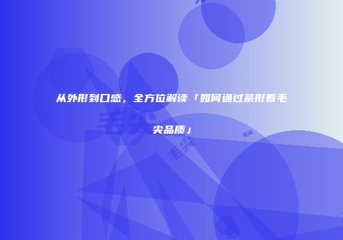 从外形到口感，全方位解读「如何通过茶形看毛尖品质」
