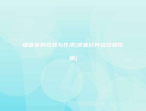 银查茶的功效与作用(银查叶片功效和作用)
