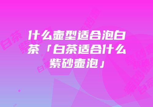 什么壶型适合泡白茶「白茶适合什么紫砂壶泡」