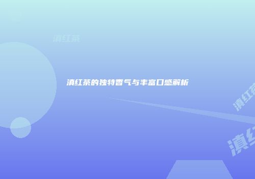 滇红茶的独特香气与丰富口感解析