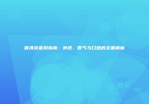普洱茶鉴别指南：外观、香气与口感的全面解析