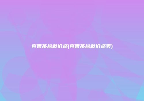 真香茶盆栽价格(真香茶盆栽价格表)