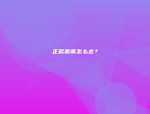 正岩茶南怎么去？