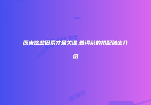 原来这些因素才是关键,普洱茶的拼配秘密介绍
