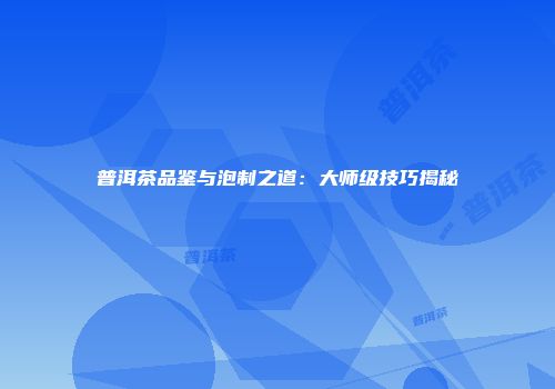 普洱茶品鉴与泡制之道：大师级技巧揭秘