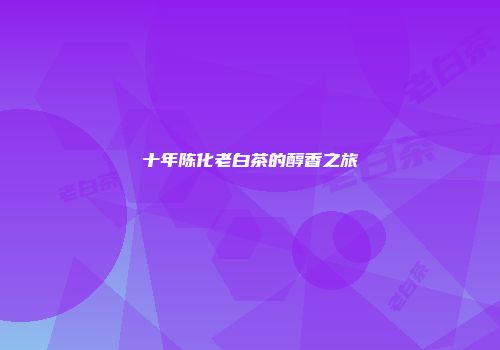 十年陈化老白茶的醇香之旅