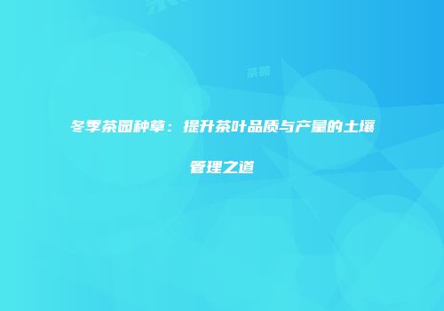 冬季茶园种草：提升茶叶品质与产量的土壤管理之道