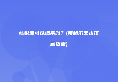 藏银壶可以泡茶吗？(弗利尔艺术馆藏银壶)