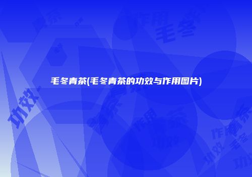 毛冬青茶(毛冬青茶的功效与作用图片)