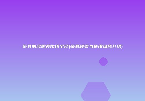 茶具的名称及作用全部(茶具种类与使用场合介绍)