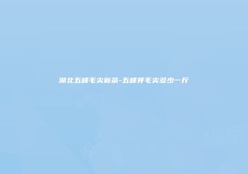 湖北五峰毛尖新茶-五峰芽毛尖多少一斤
