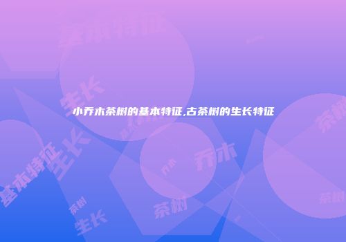 小乔木茶树的基本特征,古茶树的生长特征