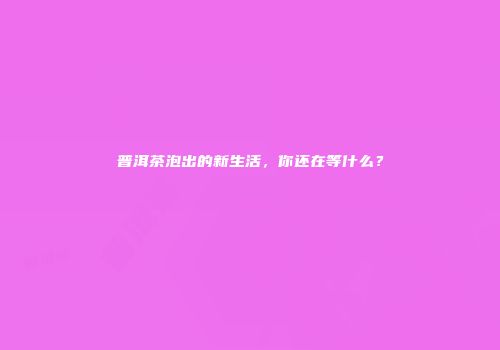普洱茶泡出的新生活，你还在等什么？