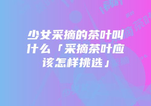 少女采摘的茶叶叫什么「采摘茶叶应该怎样挑选」