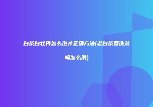 白茶白牡丹怎么泡才正确方法(老白茶要洗茶吗怎么洗)