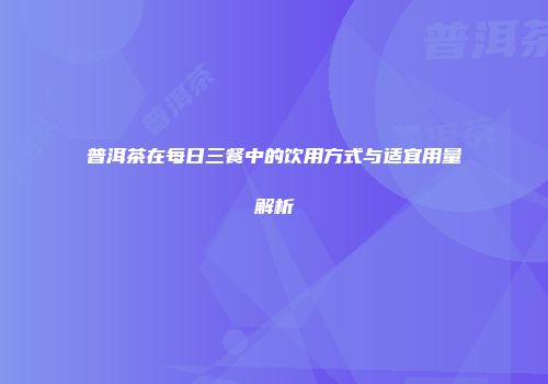 普洱茶在每日三餐中的饮用方式与适宜用量解析