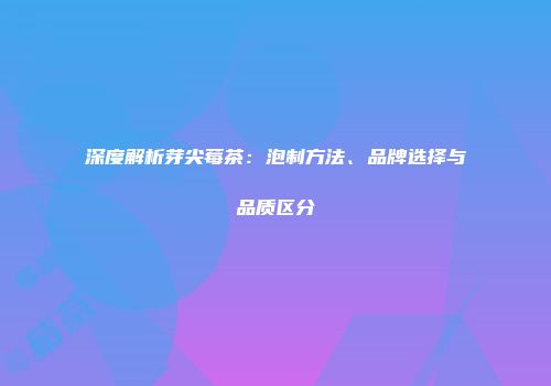 深度解析芽尖莓茶：泡制方法、品牌选择与品质区分