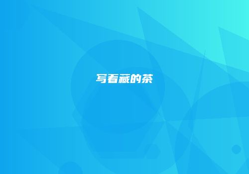 写着藏的茶