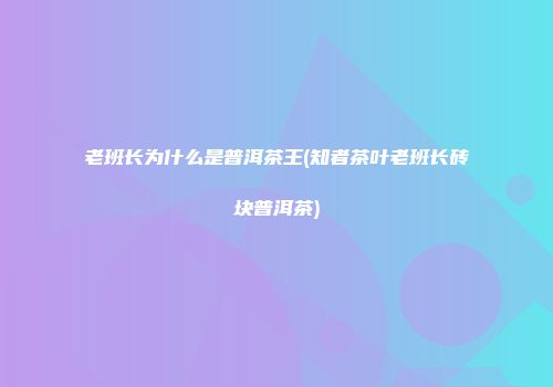 老班长为什么是普洱茶王(知者茶叶老班长砖块普洱茶)