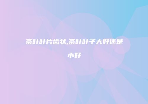 茶叶叶片齿状,茶叶叶子大好还是小好