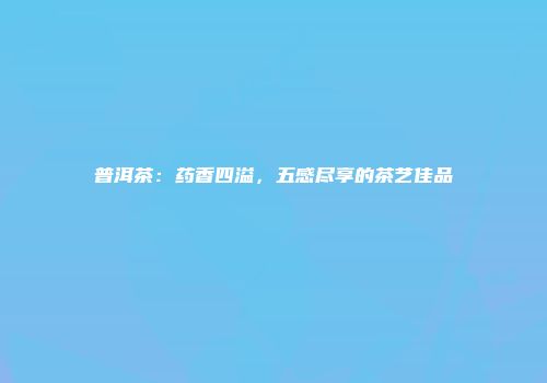 普洱茶：药香四溢，五感尽享的茶艺佳品