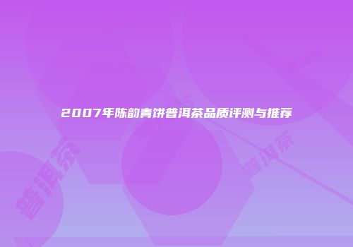 2007年陈韵青饼普洱茶品质评测与推荐