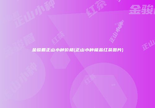 金骏眉正山小种价格(正山小种极品红茶图片)