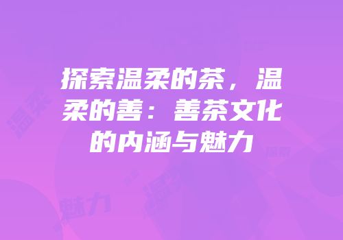 探索温柔的茶，温柔的善：善茶文化的内涵与魅力