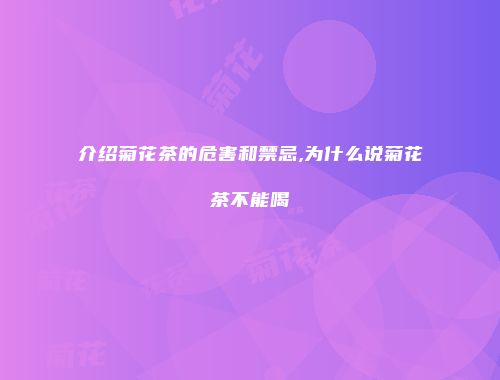 介绍菊花茶的危害和禁忌,为什么说菊花茶不能喝