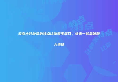 云南大叶种茶的特点让你爱不释口，快来一起品味醉人美味