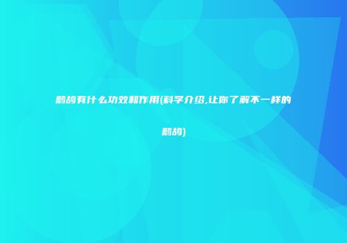 鹧鸪有什么功效和作用(科学介绍,让你了解不一样的鹧鸪)