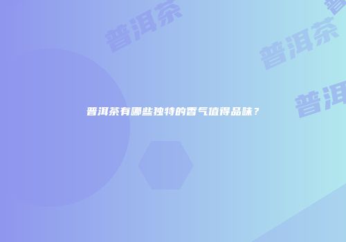 普洱茶有哪些独特的香气值得品味？