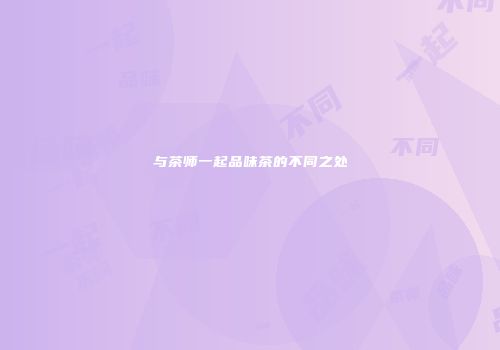 与茶师一起品味茶的不同之处