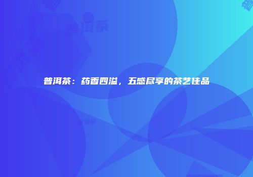 普洱茶：药香四溢，五感尽享的茶艺佳品