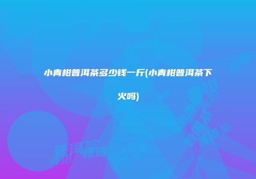 小青柑普洱茶多少钱一斤(小青柑普洱茶下火吗)