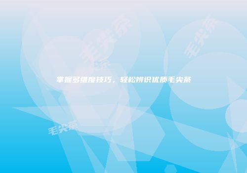 掌握多维度技巧，轻松辨识优质毛尖茶