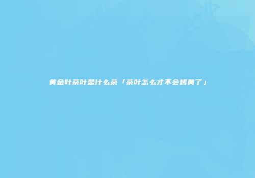 黄金叶茶叶是什么茶「茶叶怎么才不会烤黄了」