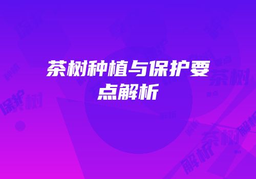 茶树种植与保护要点解析