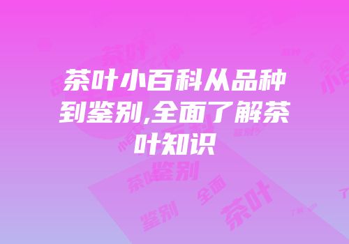 茶叶小百科从品种到鉴别,全面了解茶叶知识