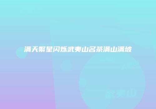 满天繁星闪烁武夷山名茶满山满坡