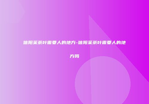 信阳采茶叶需要人的地方-信阳采茶叶需要人的地方吗