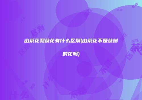 山茶花和茶花有什么区别(山茶花不是茶树的花吗)