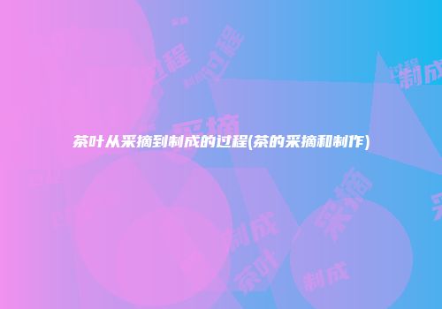 茶叶从采摘到制成的过程(茶的采摘和制作)