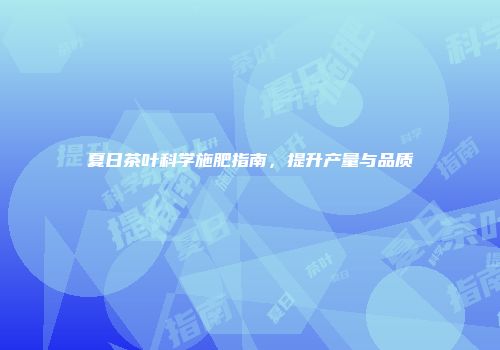 夏日茶叶科学施肥指南，提升产量与品质